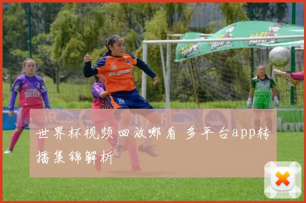 世界杯视频回放哪看 多平台app转播集锦解析